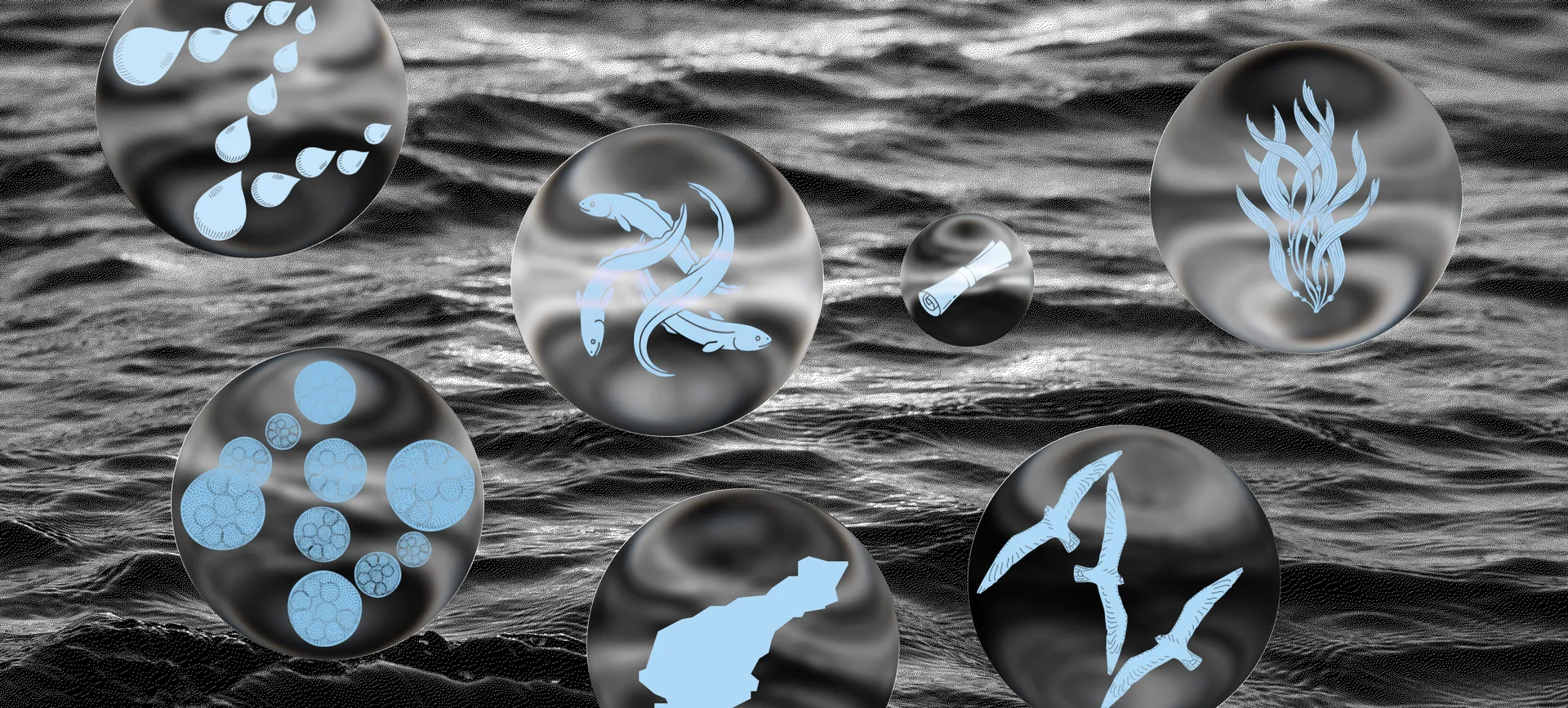 Figure 1. Screenshot from the immersive experience, an embodied compliment to this case. Designed by Anahat Kaur and Arianna Smaron.