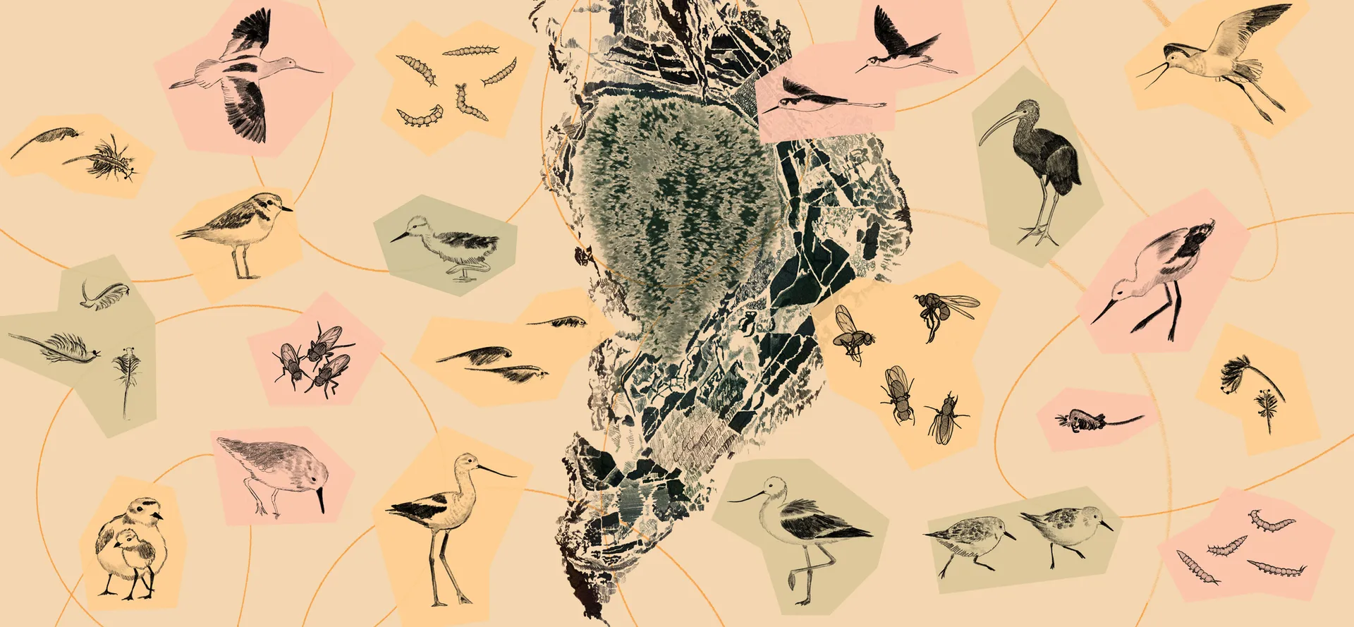 Figure 1. Illustration by Hyojeong Lee.