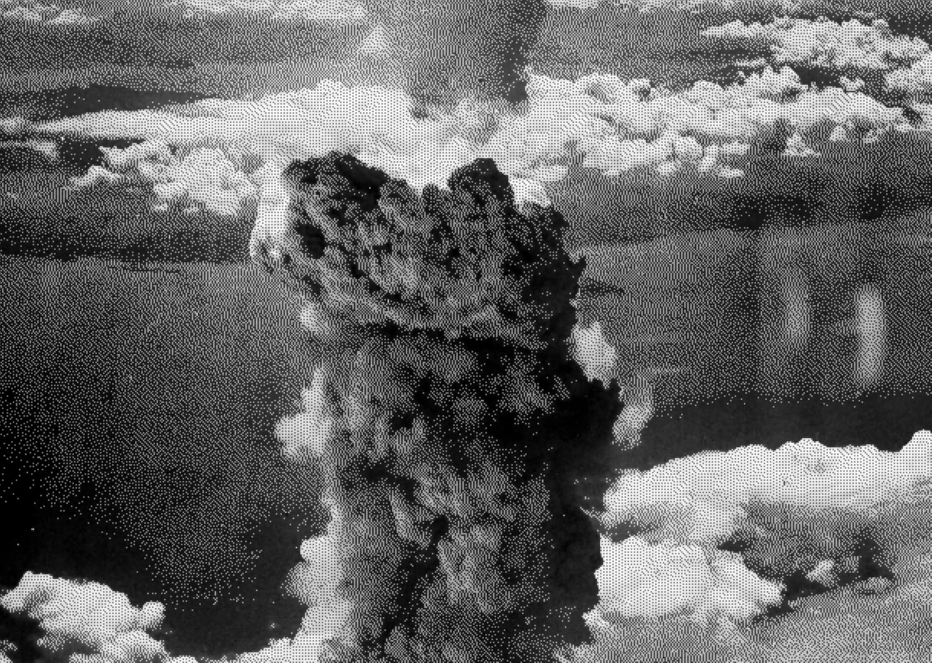 slide-1946-1-background